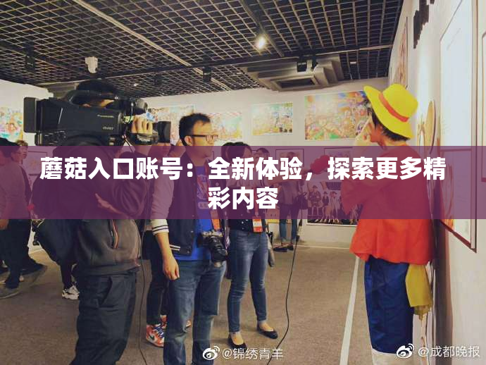 蘑菇入口账号：全新体验，探索更多精彩内容