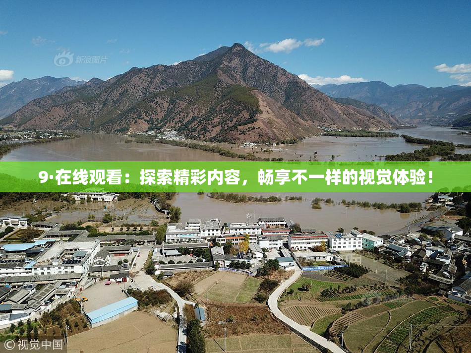 9·在线观看：探索精彩内容，畅享不一样的视觉体验！