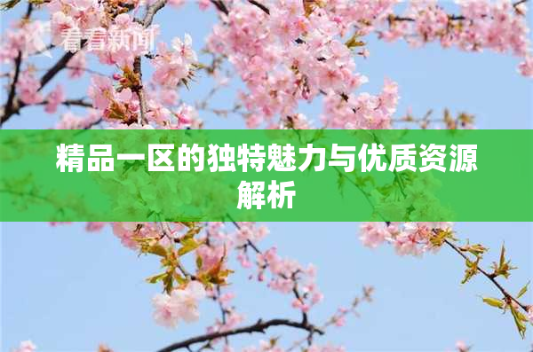 精品一区的独特魅力与优质资源解析