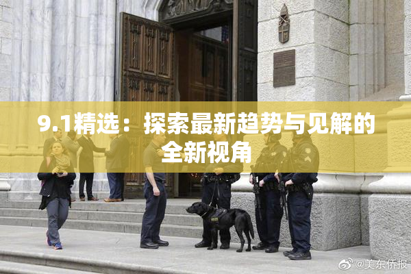 9.1精选：探索最新趋势与见解的全新视角