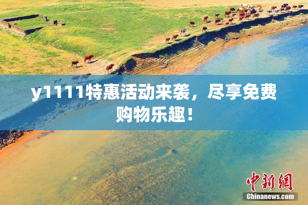 y1111特惠活动来袭，尽享免费购物乐趣！