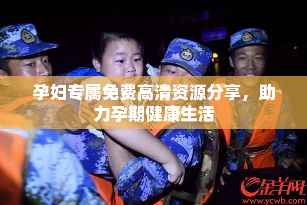 孕妇专属免费高清资源分享，助力孕期健康生活