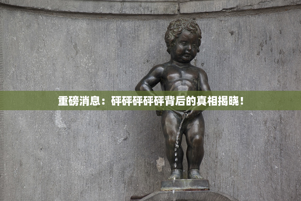 重磅消息：砰砰砰砰砰背后的真相揭晓！