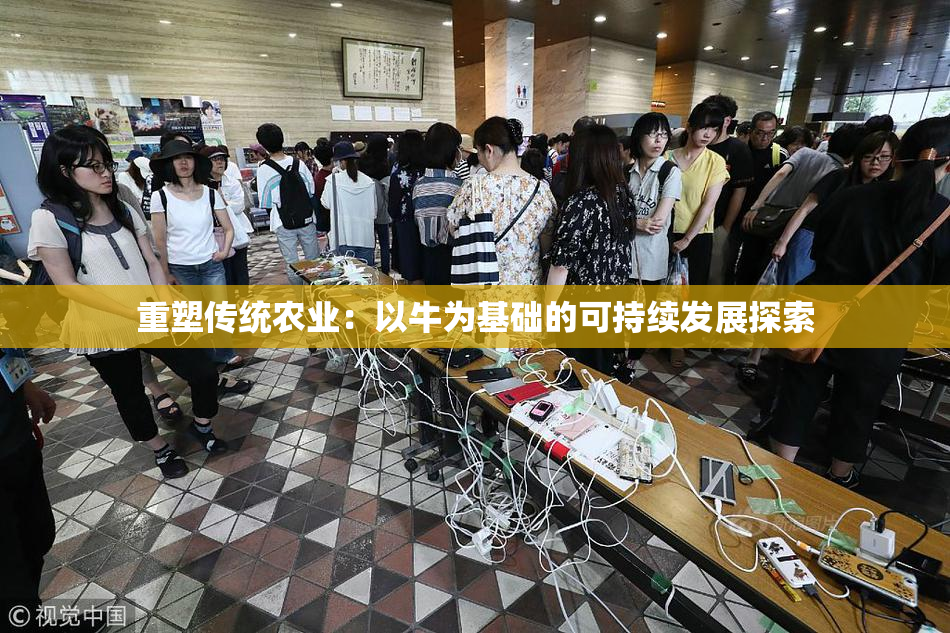 重塑传统农业：以牛为基础的可持续发展探索