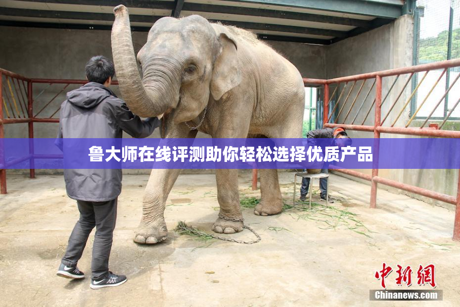 鲁大师在线评测助你轻松选择优质产品