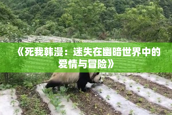 《死我韩漫：迷失在幽暗世界中的爱情与冒险》