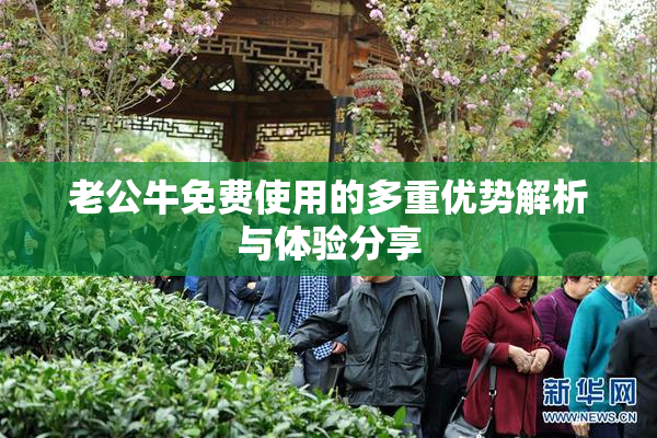 老公牛免费使用的多重优势解析与体验分享