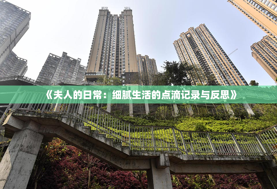 《夫人的日常：细腻生活的点滴记录与反思》