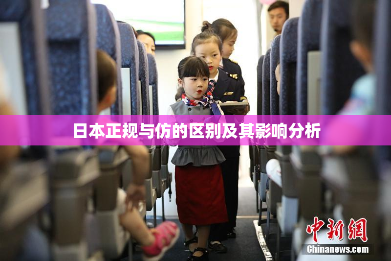 日本正规与仿的区别及其影响分析