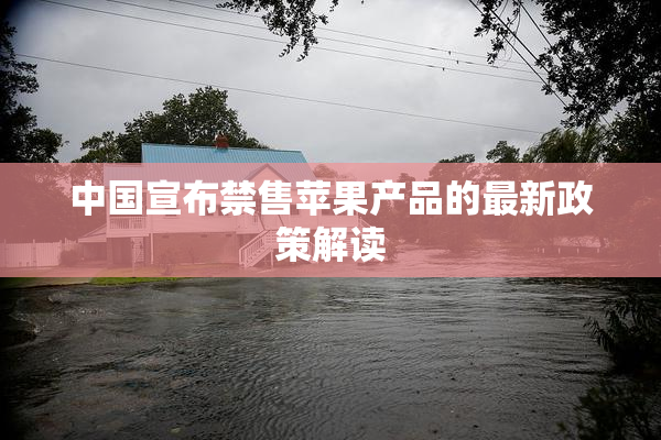 中国宣布禁售苹果产品的最新政策解读