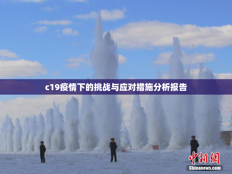 c19疫情下的挑战与应对措施分析报告