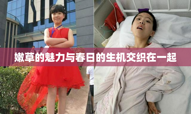 嫩草的魅力与春日的生机交织在一起