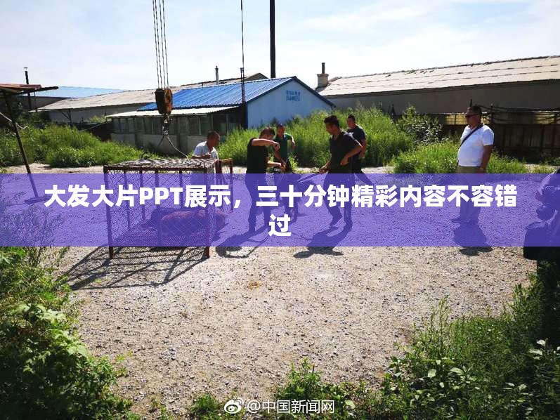 大发大片PPT展示，三十分钟精彩内容不容错过