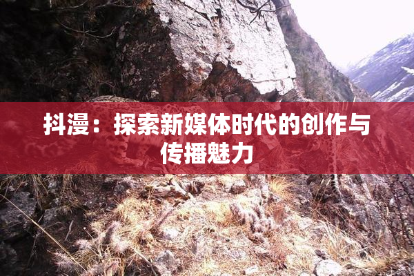 抖漫：探索新媒体时代的创作与传播魅力