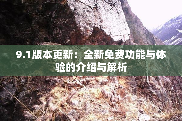 9.1版本更新：全新免费功能与体验的介绍与解析