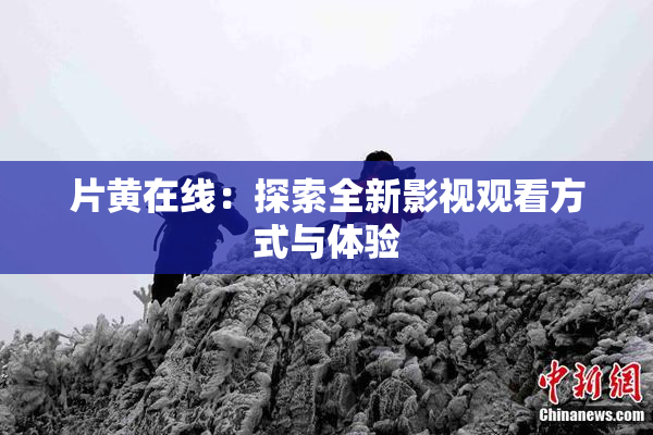 片黄在线：探索全新影视观看方式与体验