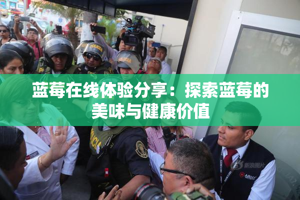 蓝莓在线体验分享：探索蓝莓的美味与健康价值