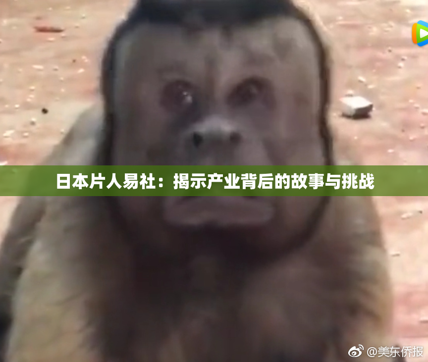 日本片人易社：揭示产业背后的故事与挑战