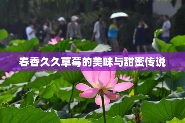 春香久久草莓的美味与甜蜜传说