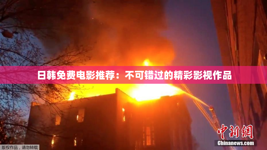 日韩免费电影推荐：不可错过的精彩影视作品