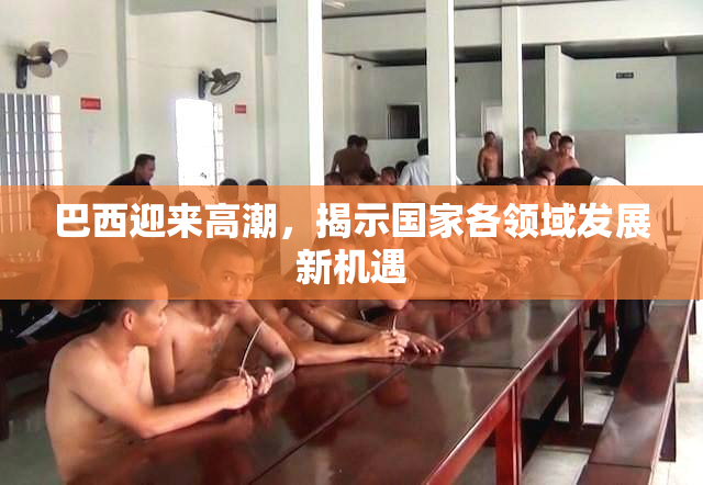 巴西迎来高潮，揭示国家各领域发展新机遇