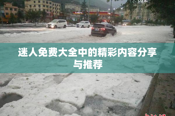 迷人免费大全中的精彩内容分享与推荐