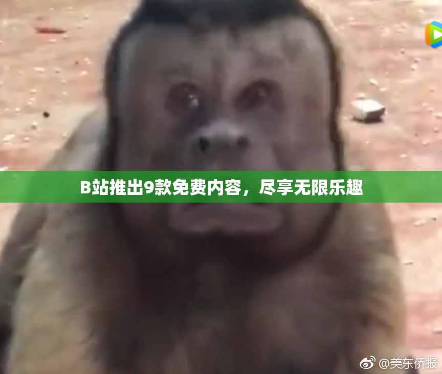 B站推出9款免费内容，尽享无限乐趣