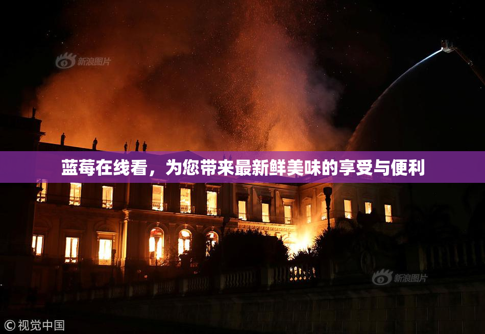 蓝莓在线看，为您带来最新鲜美味的享受与便利