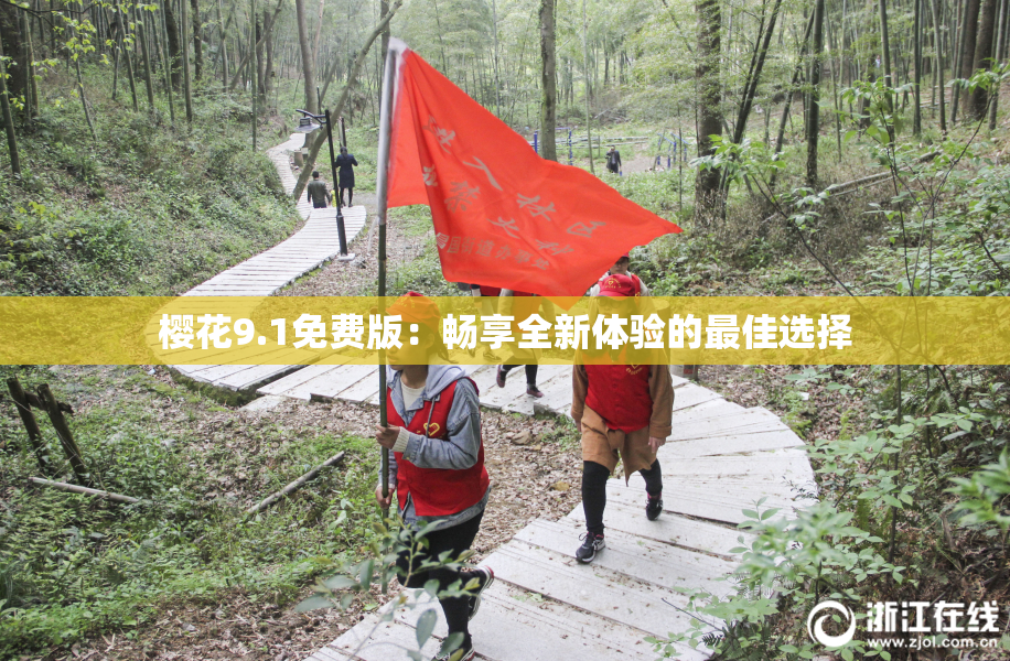 樱花9.1免费版：畅享全新体验的最佳选择
