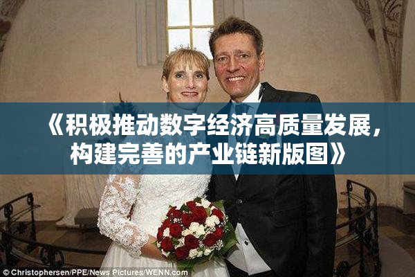 《积极推动数字经济高质量发展，构建完善的产业链新版图》