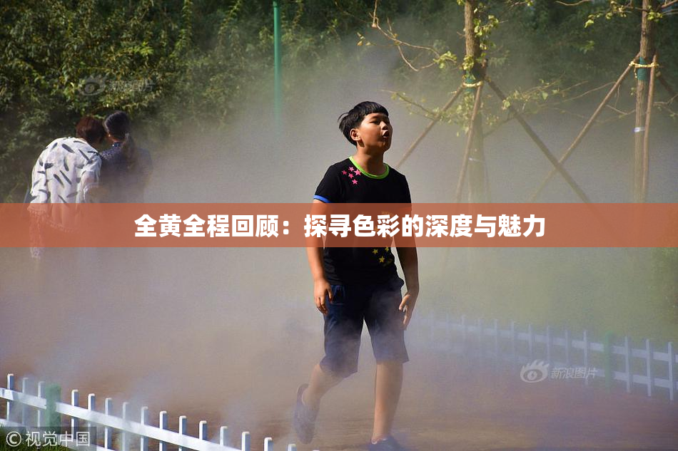 全黄全程回顾：探寻色彩的深度与魅力