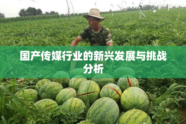 国产传媒行业的新兴发展与挑战分析