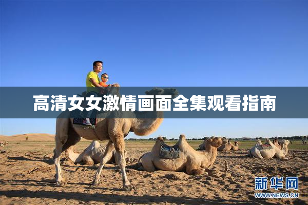 高清女女激情画面全集观看指南