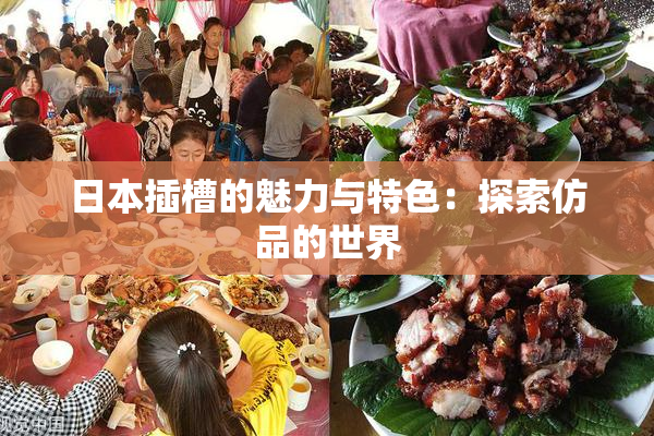 日本插槽的魅力与特色：探索仿品的世界