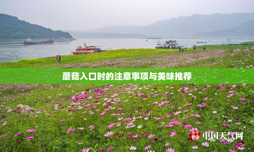 蘑菇入口时的注意事项与美味推荐