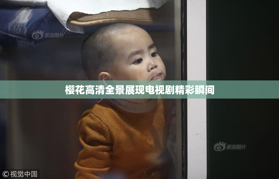樱花高清全景展现电视剧精彩瞬间