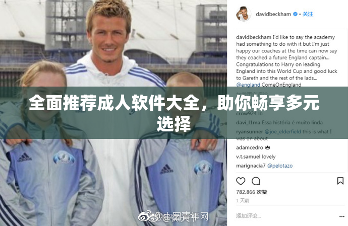 全面推荐成人软件大全，助你畅享多元选择