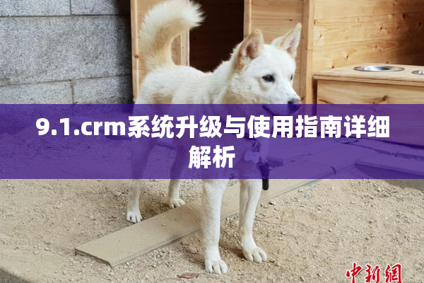 9.1.crm系统升级与使用指南详细解析