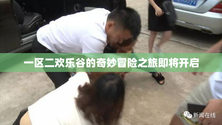 一区二欢乐谷的奇妙冒险之旅即将开启