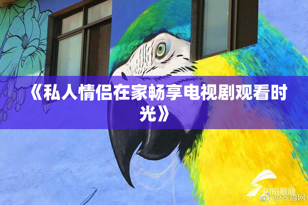 《私人情侣在家畅享电视剧观看时光》