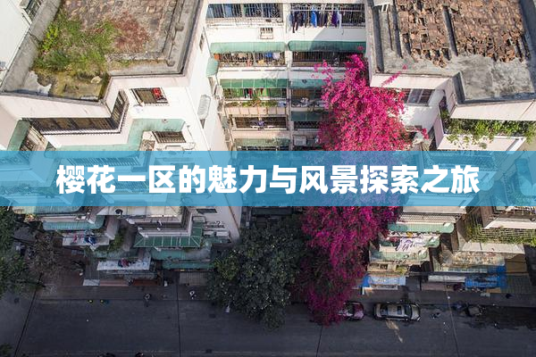 樱花一区的魅力与风景探索之旅