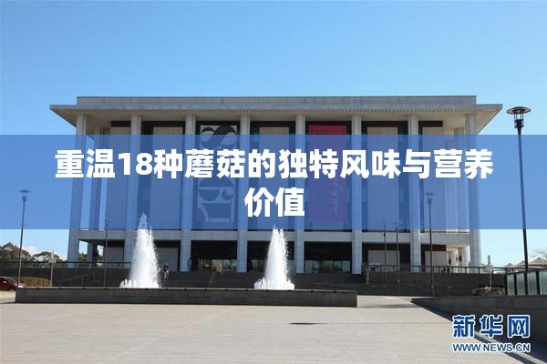 重温18种蘑菇的独特风味与营养价值