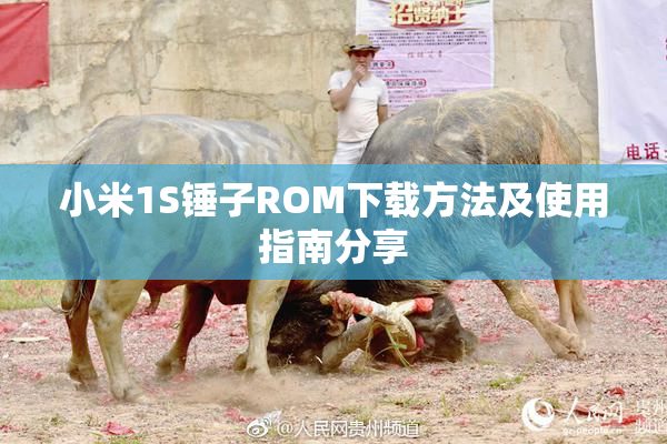 小米1S锤子ROM下载方法及使用指南分享