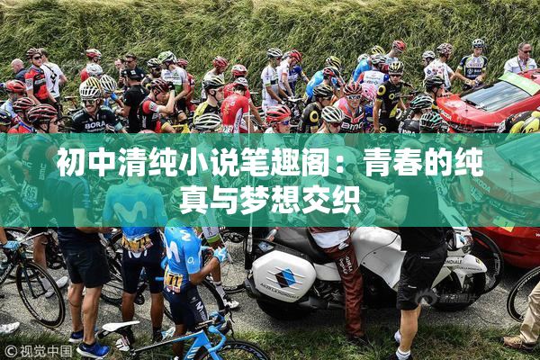 初中清纯小说笔趣阁：青春的纯真与梦想交织