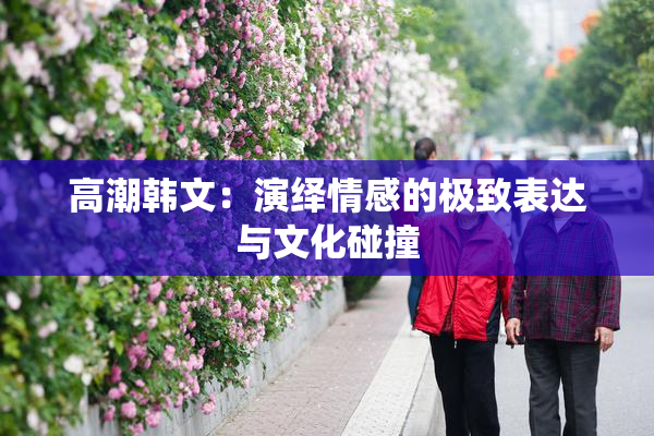 高潮韩文：演绎情感的极致表达与文化碰撞