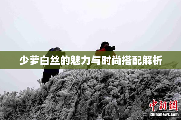 少萝白丝的魅力与时尚搭配解析