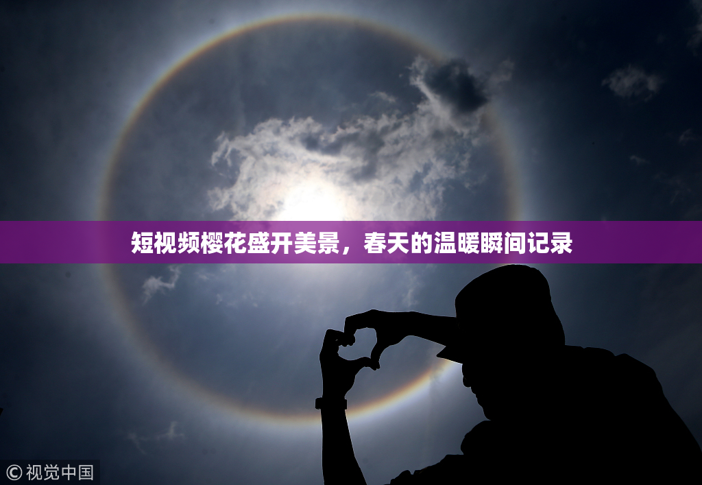 短视频樱花盛开美景，春天的温暖瞬间记录
