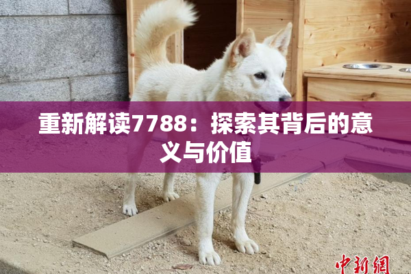 重新解读7788：探索其背后的意义与价值