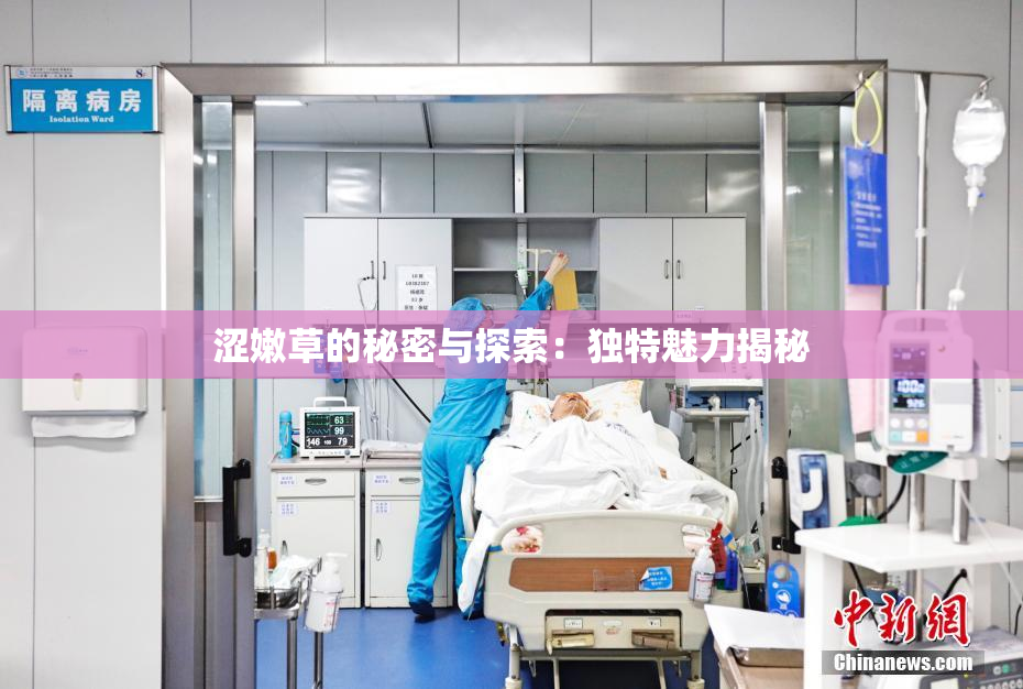 涩嫩草的秘密与探索：独特魅力揭秘