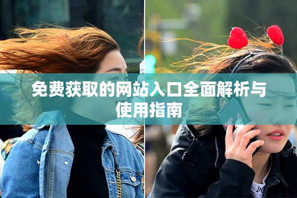 免费获取的网站入口全面解析与使用指南